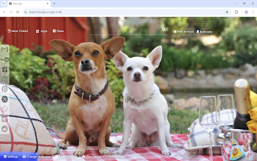 Chihuahua Wallpaper :: Chihuahua Wallpaper turn new tab to custom HD Chihuahua background. Chihuahua Wallpaper theme created for dog fans.