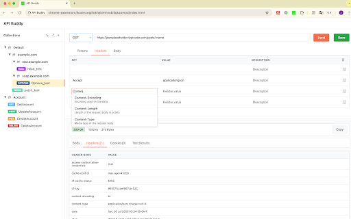 API Buddy :: HTTP API test tool, like postman