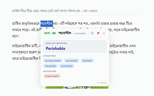 BornoSaar: Word Lookup EN ↔ বাংলা :: Double-click any English or Bangla word for instant meaning, synonyms, antonyms & pronunciation — no tab switching.