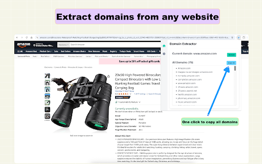 Domain Extractor :: Extract and collect all domain names and subdomains from any webpage