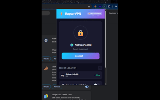 RaptorVPN :: Lightning-fast, secure VPN connection. Browse privately and access content from anywhere in the world.