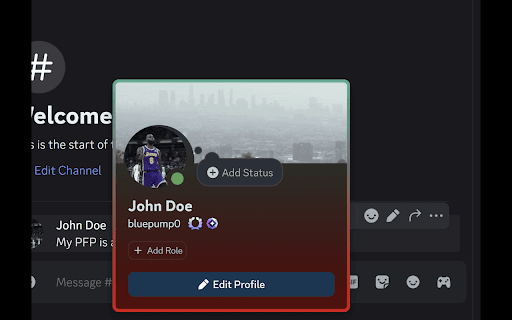 Discord Customizer :: Discord customizer for profile picture, banner, and popout theme