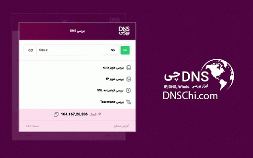 DNSChi :: Instant DNS intelligence