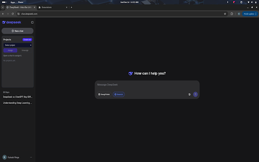 DeepSeek Chats Organizer :: Group DeepSeek chats into local projects.