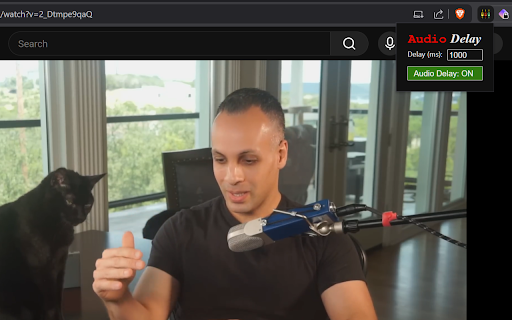 Audio/Video Delay :: Delays audio and video for synchronized playback