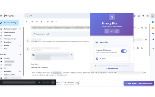 Privacy Blur :: Masquez les informations sensibles avant screen sharing