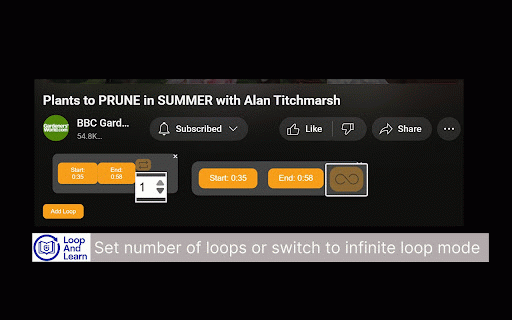 Loop and Learn for YouTube :: custommize loop sections of a YouTube video and learn based on it.