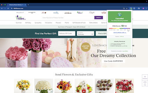 Cancelled - Ethical Browsing Assistant :: Displays ESG (Environmental, Social, and Governance) scores for companies on the sites you visit
