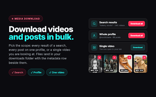 TikTok Scraper: Export Comments, Creators & Videos to CSV - Mastros :: TikTok email finder: export creator emails, save videos with no watermark, scrape any creator search by engagement rate. Free.