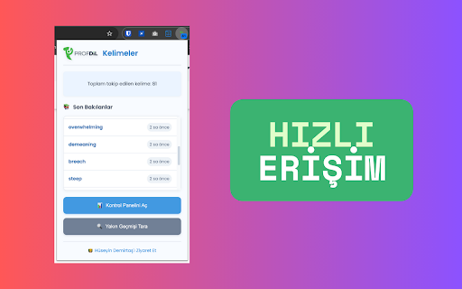 Profdil Kelime Takibi :: Sözlük sitelerinde bakılan kelimeleri takip eder, metin seçimlerini kaydetmeye olanak tanır ve öğrenme istatistikleri sunar.