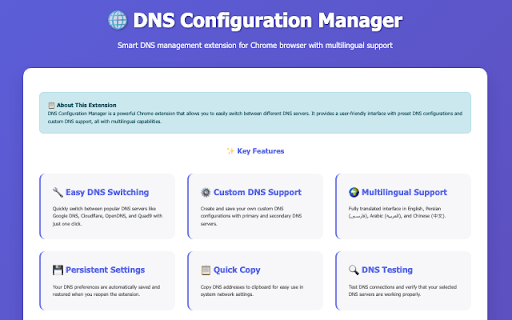 DNS Configuration Manager :: Chrome DNS management extension - Easy switching between different DNS servers with multilingual support