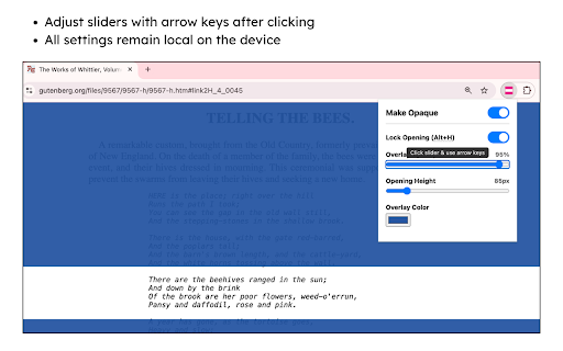 Make Opaque :: Eliminate screen clutter and guide your eyes with a customizable reading overlay. Perfect for deep focus, ADHD, and reading fatigue.