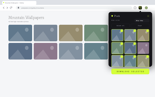 Pluck — Bulk Image Downloader :: One-click bulk image downloader. Grab all images on any page and save them at once. Fast, free, no sign-up.