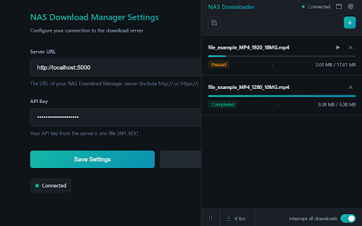 NAS Download Manager :: Send downloads to your self-hosted download manager
