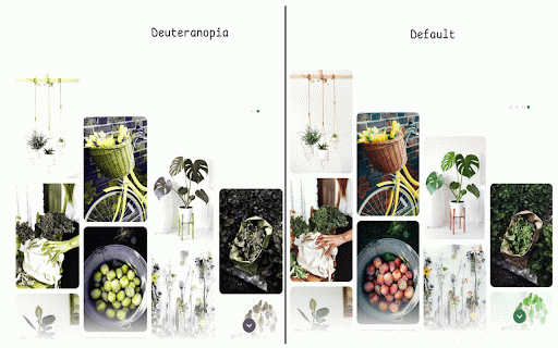 ColorBlind Viewer :: Chrome Extension to help with colorblindness and other visual impairments.