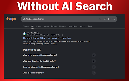 AntiAI - Block AI Overviews :: Immediately removes AI Overviews, Copilot answers, Grok summaries, and all browser AI injections.