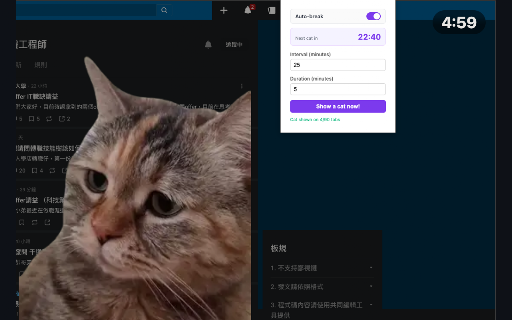 Cat Pomodoro :: A pomodoro break enforcer: every N minutes, a full-screen cat takes over your tabs until you've actually rested.