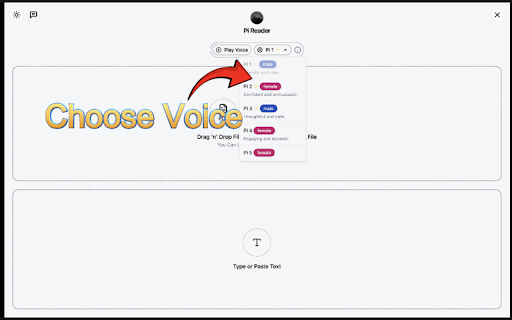 Pi Reader: Free AI Text to Speech for Adults, TTS :: Natural Pi AI text to speech (TTS) for PDFs, articles, & docs. Read aloud using high-quality adult voices with Pi Reader
