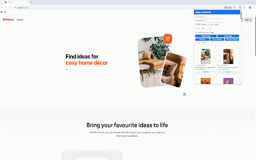 Bulk Image Downloader :: Bulk download, filter and manage images from any webpage.