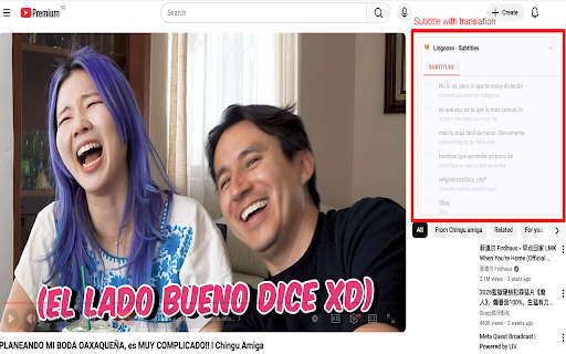 Lingooso :: Learn languages from YouTube videos — practice questions, vocabulary, and summaries