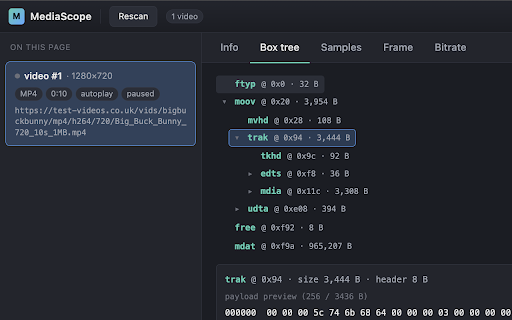 MediaScope :: Inspect media metadata, MP4/WebM structures, packets, audio, subtitles, and MSE streams.