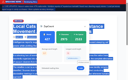 ZapCount :: Quick word and character counter for selected text