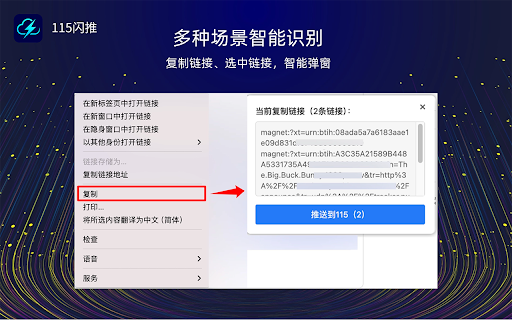 115闪推 - 一键离线下载 | 115网盘 :: 专为115网盘打造,智能收集页面所有的资源链接(磁力链接、文本链接、ED2K、种子文件),集中管理、定位、批量推送、一键推送到115网盘离线下载云任务