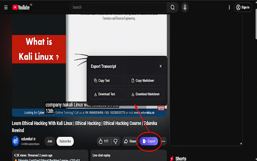 YT Transcript Exporter :: Export YouTube transcripts as clean Markdown files or copy to clipboard