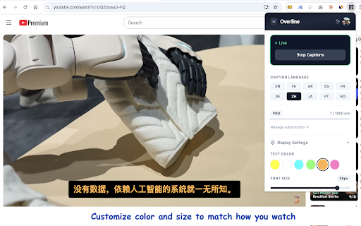Overline :: Real-time AI captions and translation overlaid on browser videos.
