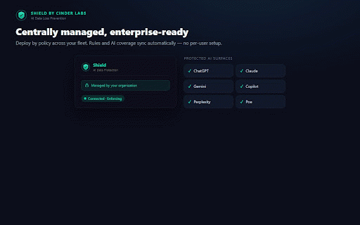 Shield by Cinder Labs :: Prevent sensitive data leaks to AI. Scans text, file uploads, and images (OCR) in real time. Shadow AI detection. Enterprise DLP.
