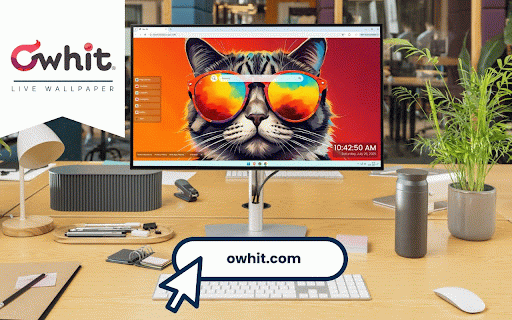 Cool Cat in Colorful Sunglasses Live Wallpaper :: Stylish tabby cat wearing vibrant rainbow sunglasses against warm orange gradient background.