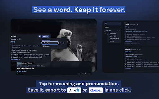 Capisco: Auto Subtitles for Language Learning :: Learn languages from any video or call - automatic dual subtitles: original + translation, even where none exist. Dictionary & Anki.