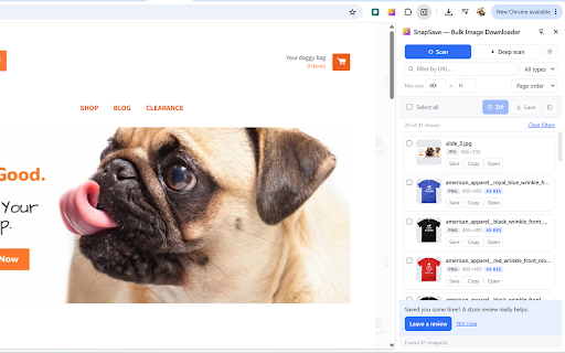SnapSave — Bulk Image Downloader :: Find and bulk-download every image on any page — lazy-loaded, CSS, blob, canvas and CDN. Save as ZIP in full resolution.