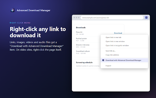 Advanced Download Manager :: Right-click a link, image or video and send it straight to your desktop download manager.