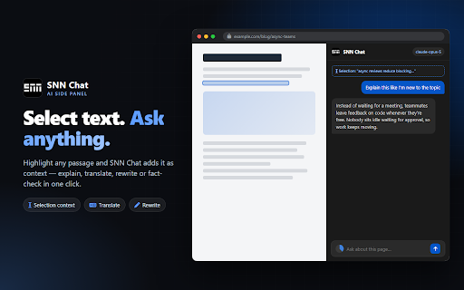 SNN Chat - AI Assistant :: Chat with any webpage from Chrome's side panel. Summarize, explain and ask questions using any AI model via OpenRouter.