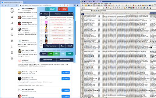 Bluesky Automation :: Follow/Unfollow/Scrape automatically Bluesky accounts
