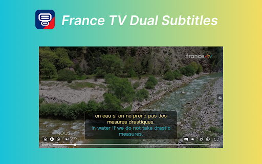 France TV Dual Subtitles :: Watch France TV, TF1+, and RMC+ videos with French and translated subtitles together.