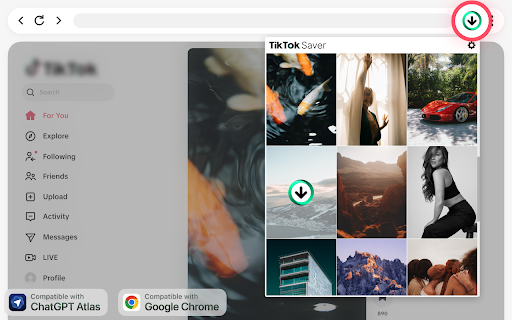 TikTok Video Downloader – Save Without Watermark :: Download TikTok videos in one click, no watermark, no extra apps, just fast and simple TikTok downloads. Get the Saver now