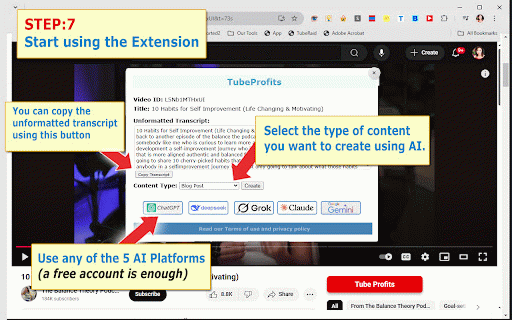 TubeProfits, YouTube Transcript to AI Content Creator :: Turn YouTube video transcripts into text summaries and AI-generated content.