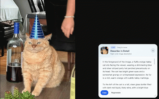 Image Describer AI :: Right-click any image to get instant AI descriptions, prompts, captions, and analysis.