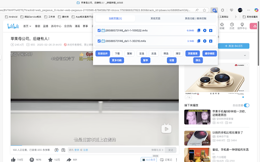 MagicalDownloader :: Web media sniffing tool