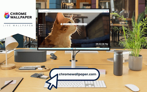 Cat Watching Rain Live Wallpaper :: Orange tabby cat peacefully watching rain through window in warm golden light.