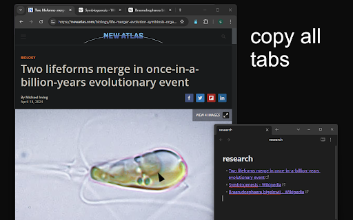 Stardown :: Copy a markdown link for the current page.