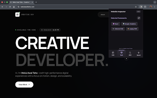 Website Inspector :: The ultimate developer toolkit.