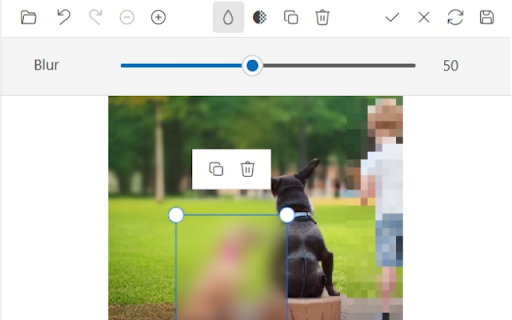 RJ Screenshot and Image Editor :: A browser extension to capture screenshots and edit images with crop, zoom, rotate, annotations, and blur to hide sensitive info.
