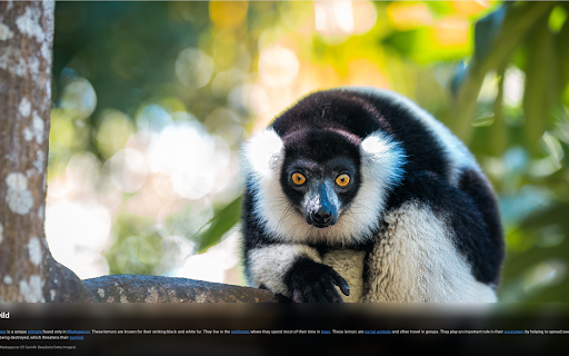 Picture of the Day :: Transform your new tab daily pictures from NASA, Wikipedia, and Bing with AI enhanced information.