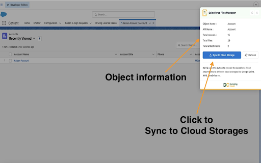 Salesforce Files Manager :: Bulk Salesforce files: Download, delete, copy, move, sync, compare, watermark, merge, & translate. Automate your workflow today.