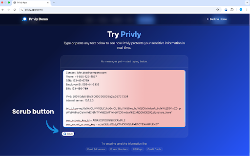 Privly :: Mask sensitive & personal information in any AI prompt before sending.