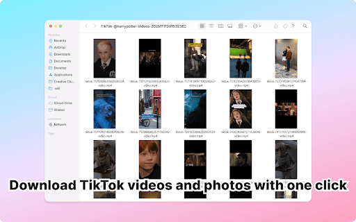 TK Video Downloader :: Download TikTok videos without watermark. Batch save from profiles, search & posts. High quality, fast, easy one-click downloads.
