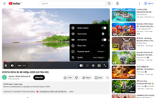 YouTube Player Accessibility :: Make YouTube player controls easier to see and use with accessible viewing profiles.